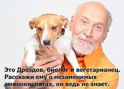 суть вегетарианства